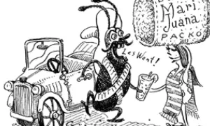 Karaluch z napisem "la cucaracha tekst" w ręku, obok samochodu i postaci z napisem "Marijuana Packo".
